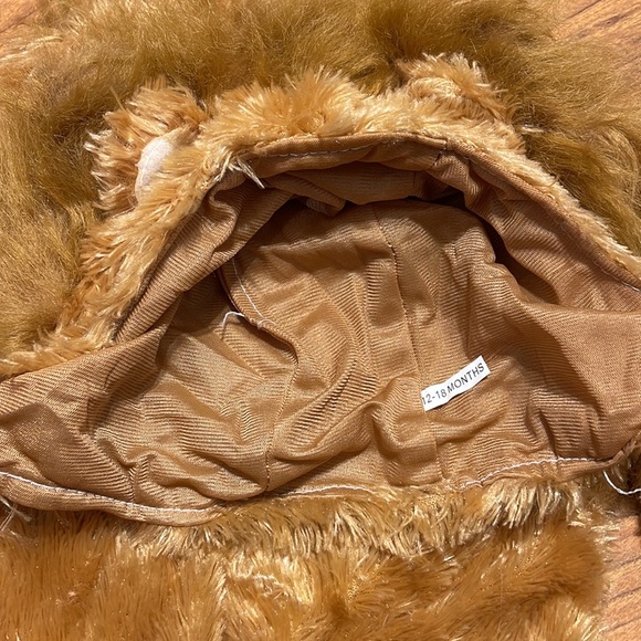 🦁 Lion Costume 🦁 - Picture 5 of 7